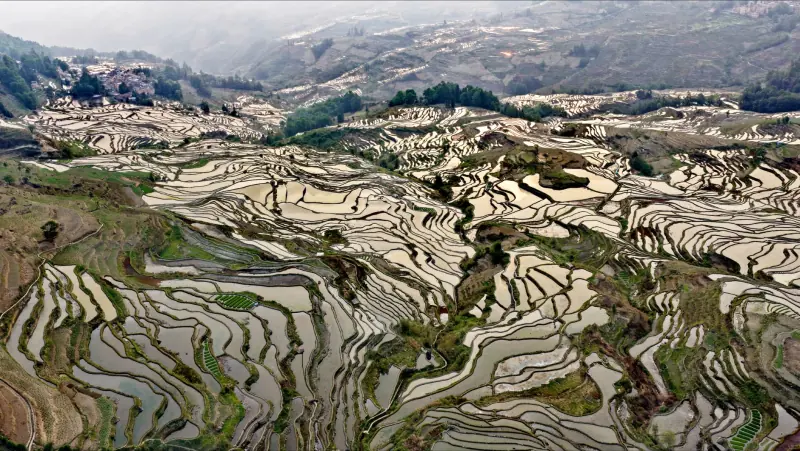 2024年辽宁地区科发研发服务能力评估与信汇合驰项目实践