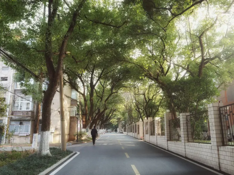 科�软件开发项目管理中的常见风险与应对策略